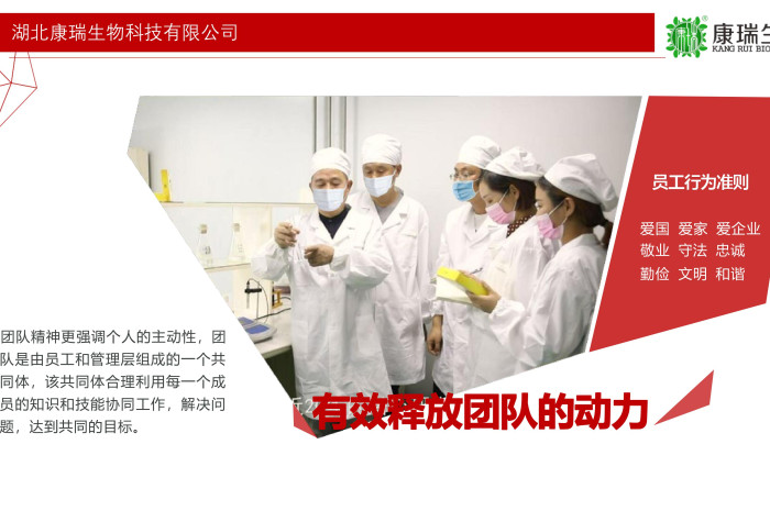 小批量功能食品代工，就選湖北康瑞生物！支持專業(yè)打樣與靈活定制